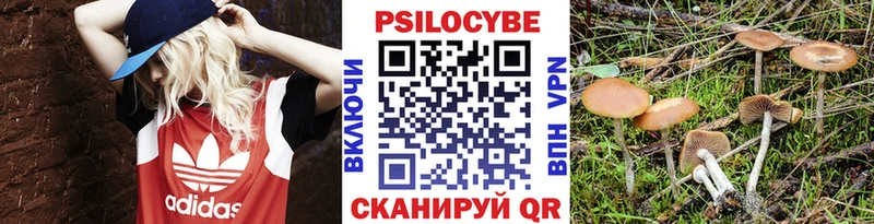 наркота  Благодарный  Галлюциногенные грибы мухоморы 